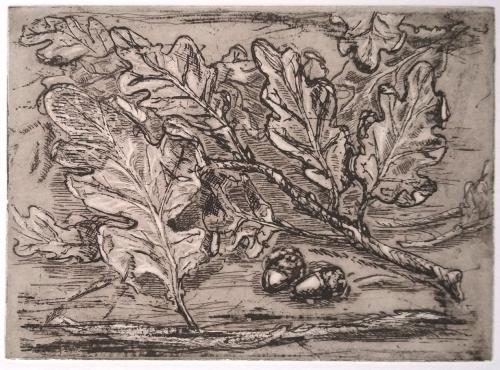 Acorns and Oakleaves ii
