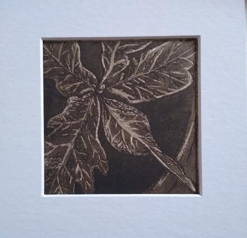 From Little Acorns - mono colour - Burnt Umber