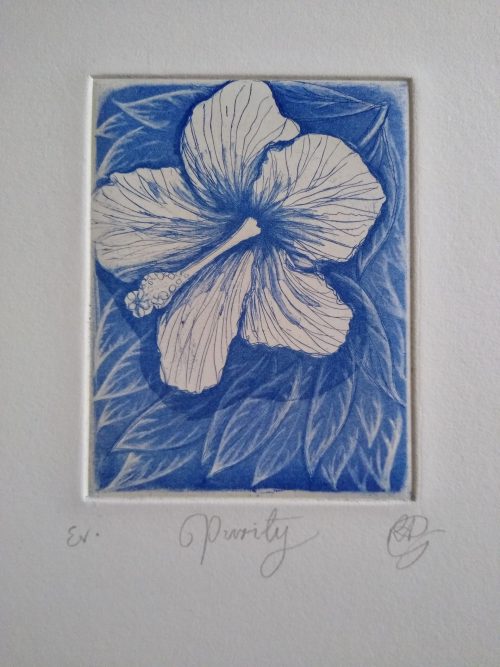 Greenwood-Ruth-Purity-UltramarineFlora