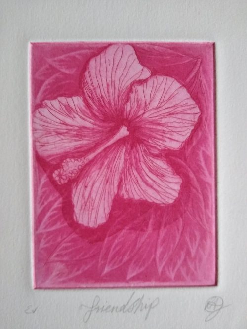 Greenwood-Ruth-passion-Magenta flora