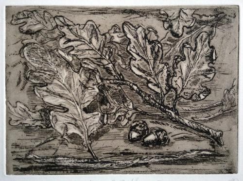 Acorns and Oakleaves ii