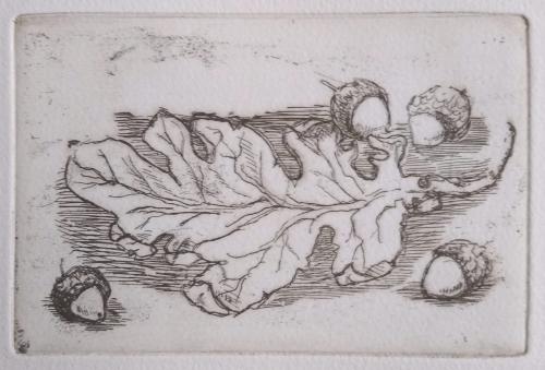 Acorns and Oakleaves iii
