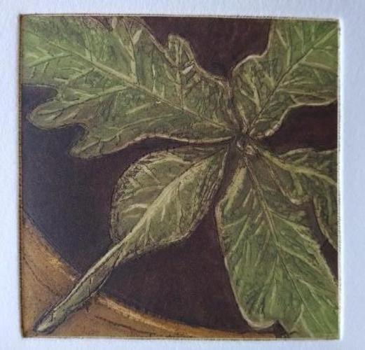 From Little Acorns