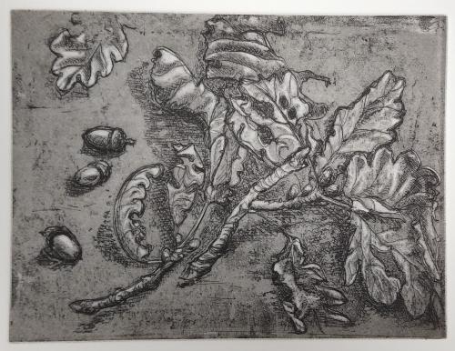 Acorns and Oakleaves