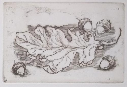 Acorns and Oakleaves iii