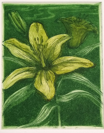 Yellow Tiger Lillies