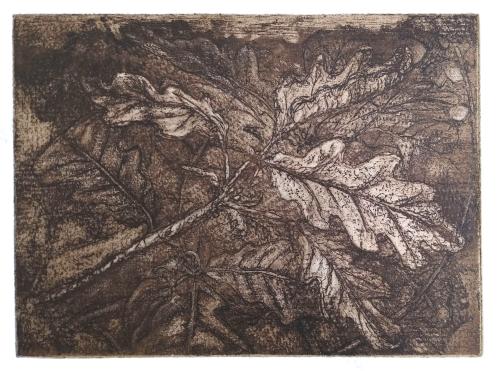 acorns-and-oakleaves-v-scaled
